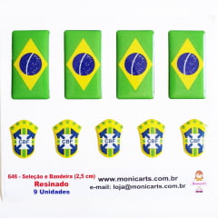 646 - Seleção e Bandeira Brasil Resinado